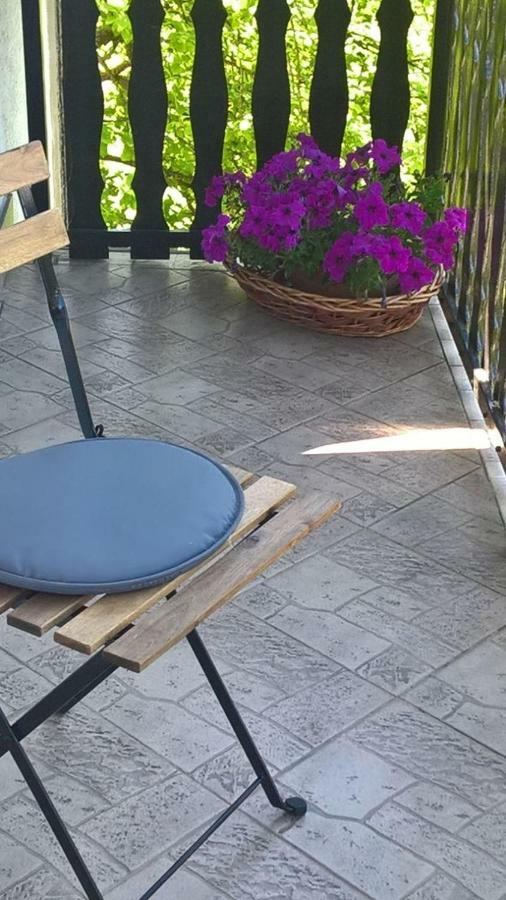 Apartman Ruzica Ogulin Eksteriør billede